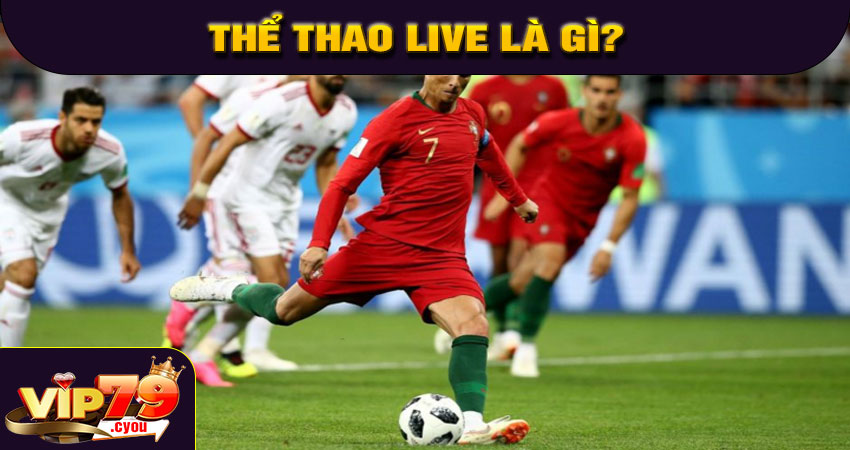 Thể Thao Live là gì?