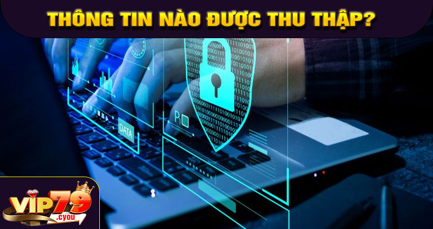 Thông tin nào được thu thập?